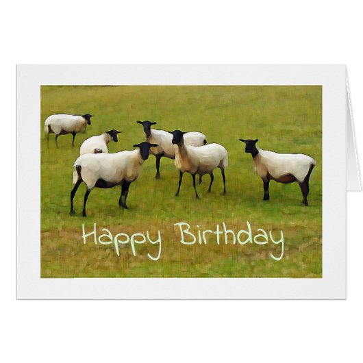 Sheep Birthday-kaart (Voorkant Horizontaal)