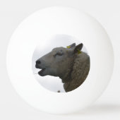 Sheep Chomping op Hay Pingpongbal (Achterkant)