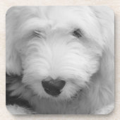 Sheep Dog Cork Onderzetters (Voorkant)