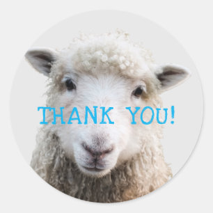 Sheep Face Knitting Business Dank u. Ronde Sticker