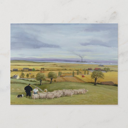 Sheep Farmer Isle of Sheppey Briefkaart (Voorkant)