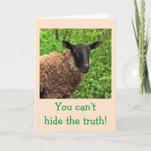 Sheep Flattery Birthday Kaart