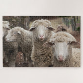 Sheep Friends Legpuzzel (Horizontaal)