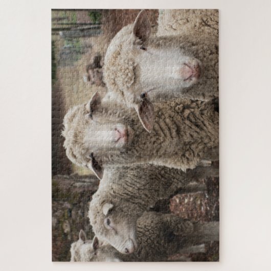 Sheep Friends Legpuzzel (Verticaal)