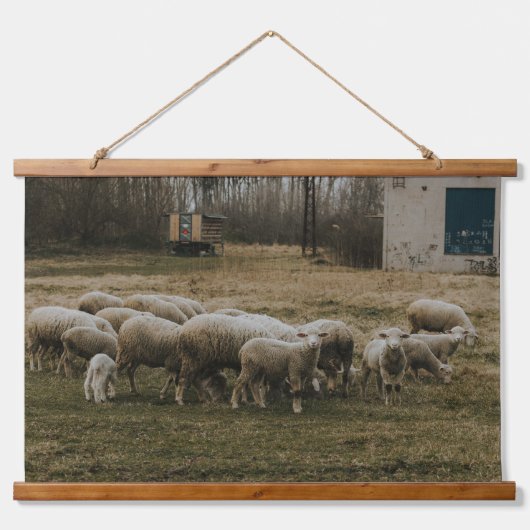 Sheep Herd Hangend Wandkleed (Voorkant)