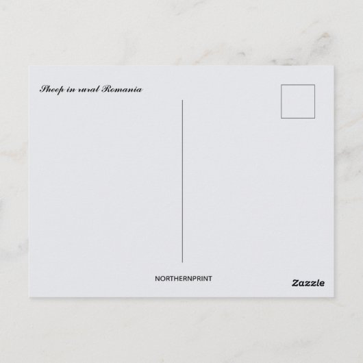 Sheep in Rural Romania Briefkaart (Achterkant)