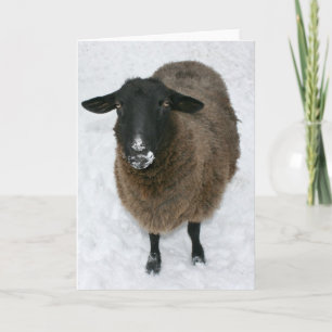 Sheep in snow feestdagen kaart