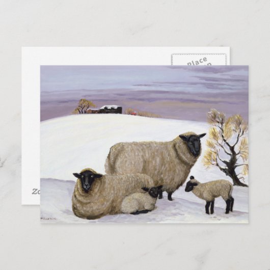 Sheep in Winter Briefkaart (Voorkant / Achterkant)