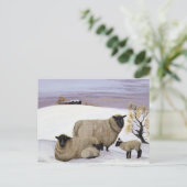 Sheep in Winter Briefkaart (Staand voorkant)