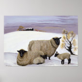 Sheep in Winter Poster (Voorkant)