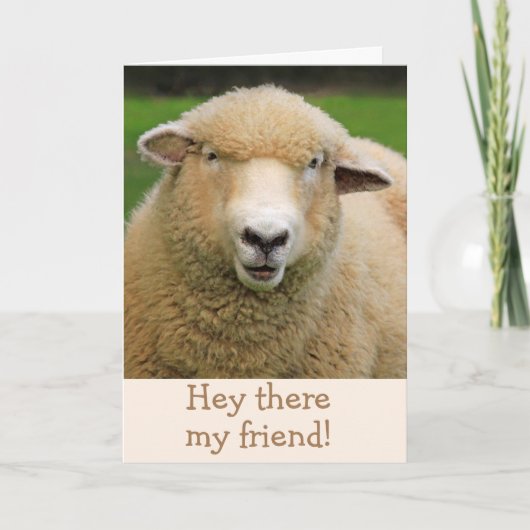 Sheep Joke Klassieke Humor krijgt goed Kaart (Voorkant)