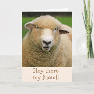 Sheep Joke Klassieke Humor krijgt goed Kaart