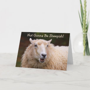 Sheep Joke Pun Birthday Card Kaart
