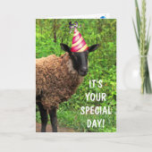 Sheep Joke Pun Birthday Kaart (Voorkant)