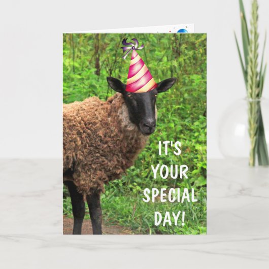 Sheep Joke Pun Birthday Kaart (Voorkant)