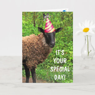Sheep Joke Pun Birthday Kaart