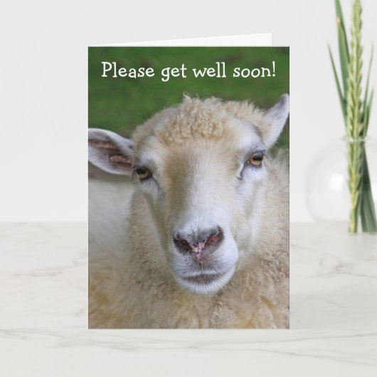 Sheep Joke Pun krijgt goede Kaart (Voorkant)
