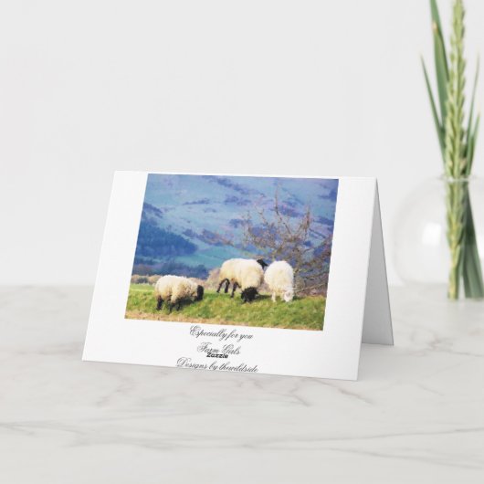 SHEEP KAART (Achterkant)