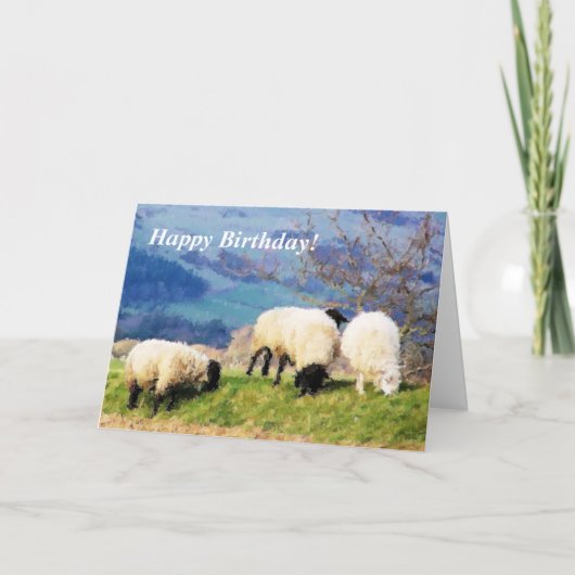 SHEEP KAART (Voorkant)