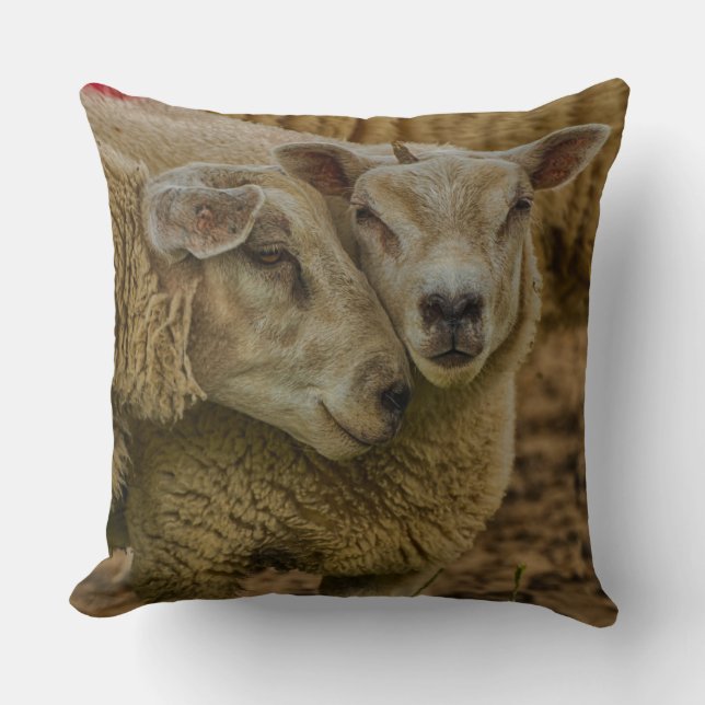 sheep kussen (Voorkant)