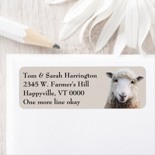 Sheep Lamb Farm Animals Etiket (Insitu)
