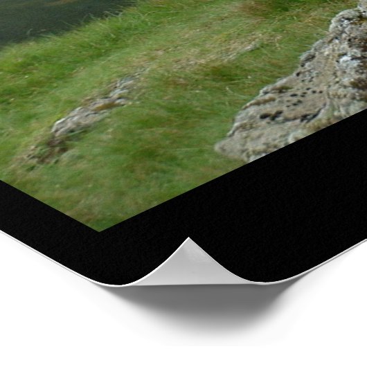 Sheep & Lamb zegt Baa, Baa (Poster) Poster (Hoek)