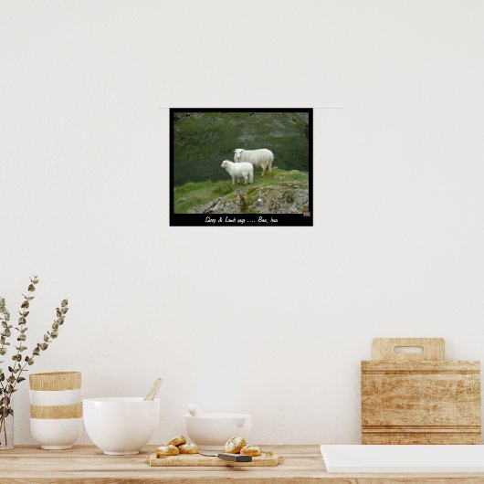 Sheep & Lamb zegt Baa, Baa (Poster) Poster (Keuken)