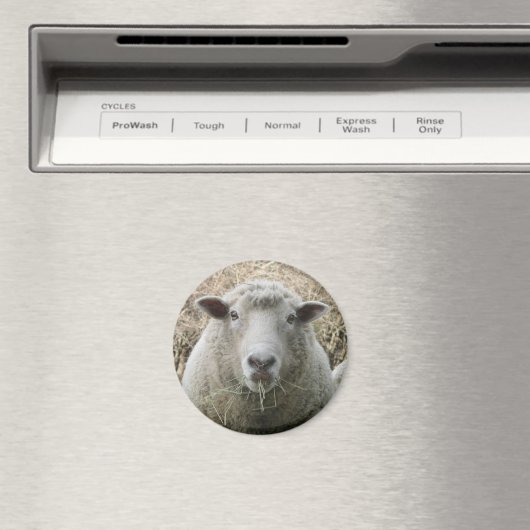 Sheep Magnet (Insitu (Vaatwasser))