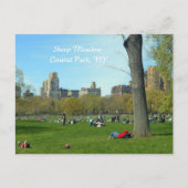 Sheep Meadow, Central Park, NYC Briefkaart (Voorkant)