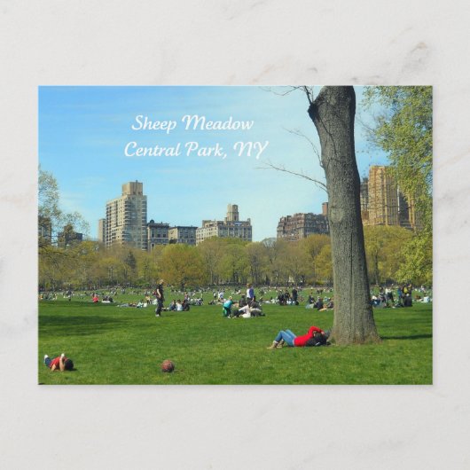 Sheep Meadow, Central Park, NYC Briefkaart (Voorkant)