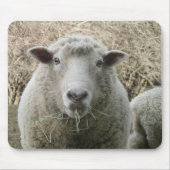 Sheep Mousepad Muismat (Voorkant)