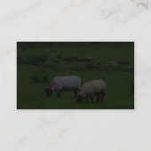 Sheep Near Deerpark Ierland Visitekaartje (Achterkant)