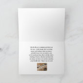 Sheep/ "Oh, kijk, City Folks with Cameras"/ HUMOR Kaart (Binnen)