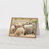 Sheep/ "Oh, kijk, City Folks with Cameras"/ HUMOR Kaart (Voorkant)