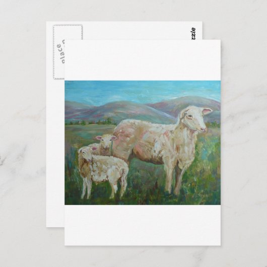 Sheep Pinting Briefkaart (Voorkant / Achterkant)