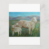 Sheep Pinting Briefkaart (Voorkant)