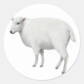 Sheep Sticker (Voorkant)