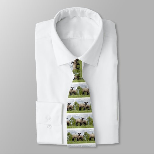 sheep stropdas (Gebonden)