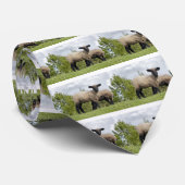 sheep stropdas (Opgerold)