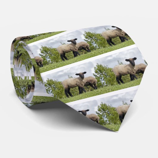 sheep stropdas (Opgerold)