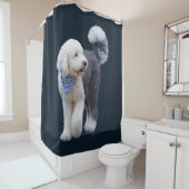 Sheepadoodle Met Blauwe Geruite Sjaal Douchegordijn (In situ)