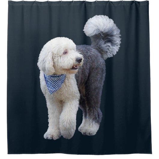 Sheepadoodle Met Blauwe Geruite Sjaal Douchegordijn (Voorkant)