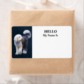 Sheepadoodle Met Blauwe Geruite Sjaal Etiket (Insitu)