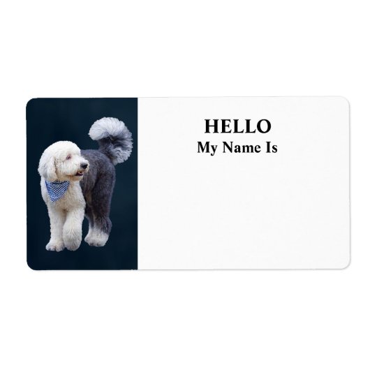 Sheepadoodle Met Blauwe Geruite Sjaal Etiket (Voorkant)