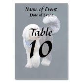 Sheepadoodle Met Blauwe Geruite Sjaal Kaart (Achterkant)