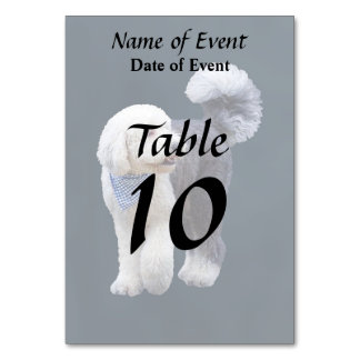 Sheepadoodle Met Blauwe Geruite Sjaal Kaart