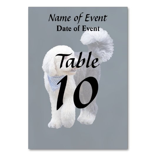 Sheepadoodle Met Blauwe Geruite Sjaal Kaart (Voorkant)