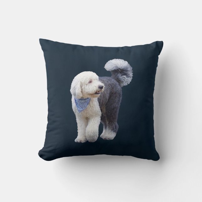 Sheepadoodle Met Blauwe Geruite Sjaal Kussen (Voorkant)