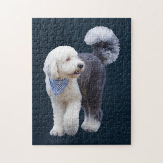 Sheepadoodle Met Blauwe Geruite Sjaal Legpuzzel