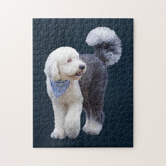 Sheepadoodle Met Blauwe Geruite Sjaal Legpuzzel (Verticaal)